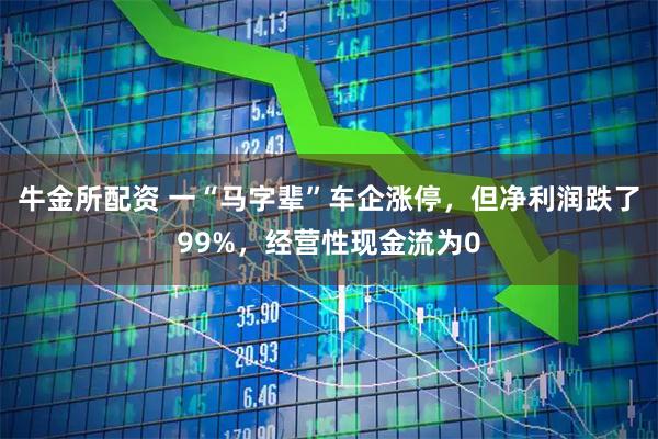 牛金所配资 一“马字辈”车企涨停，但净利润跌了99%，经营性现金流为0