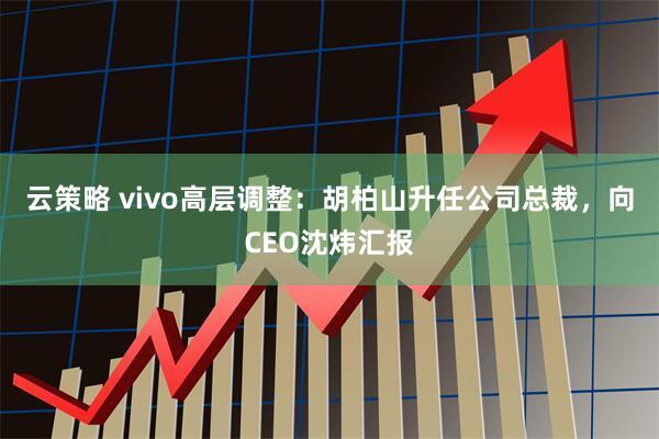 云策略 vivo高层调整：胡柏山升任公司总裁，向CEO沈炜汇报