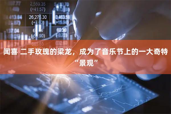 闻喜 二手玫瑰的梁龙，成为了音乐节上的一大奇特“景观”